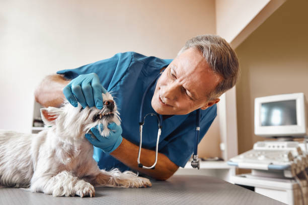 Best Emergency Tooth Extraction in Post, TX